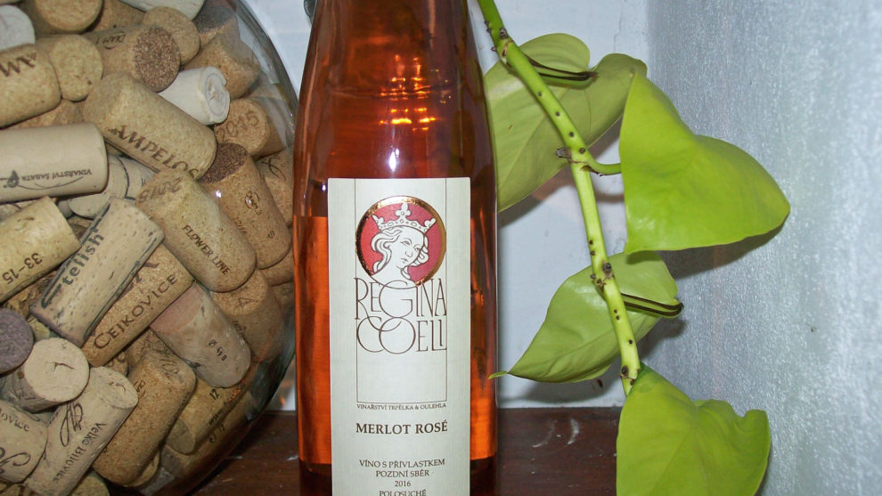 Merlot ROSÉ Regina Coeli